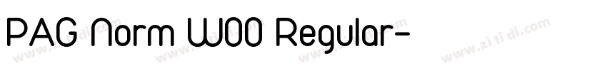 PAG Norm W00 Regular字体转换